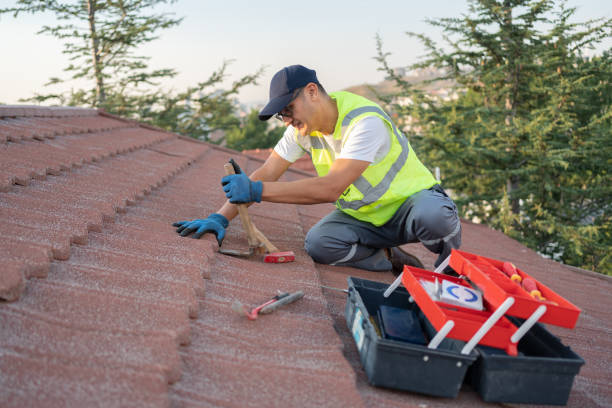 Professional Roofing Contractor in Cedar Bluff, AL