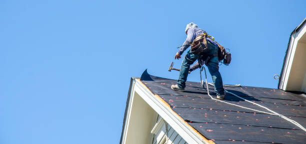 Best Storm Damage Roof Repair  in Cedar Bluff, AL